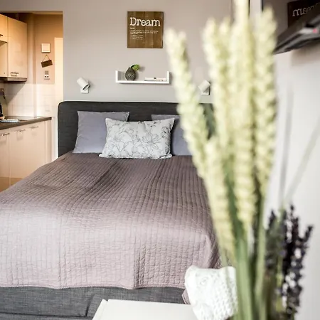 Stadtgefluester Appartement *